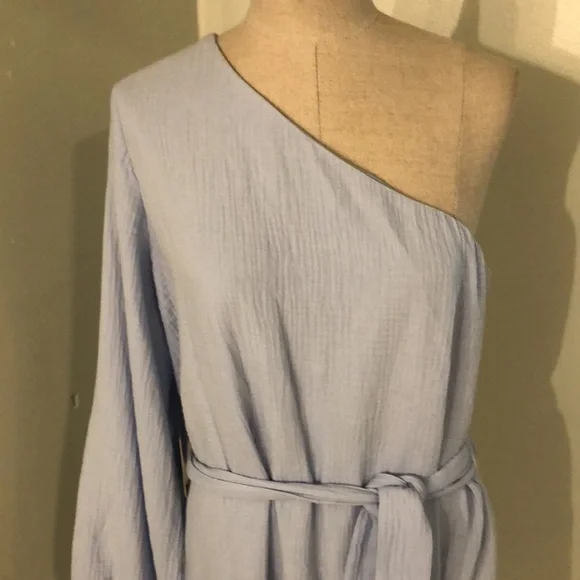 Express one shoulder dress